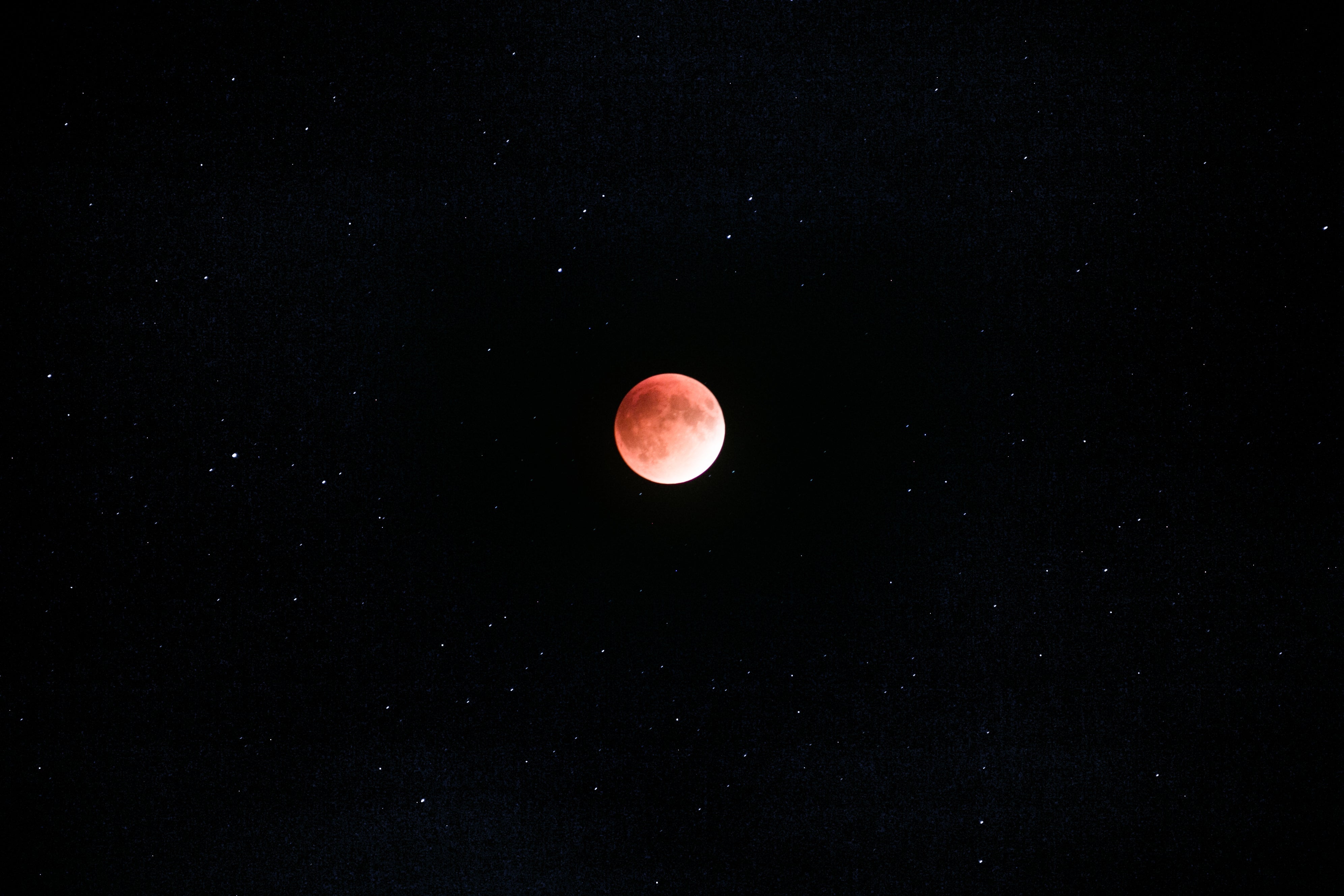 Blood Moon over New Zealand 2026