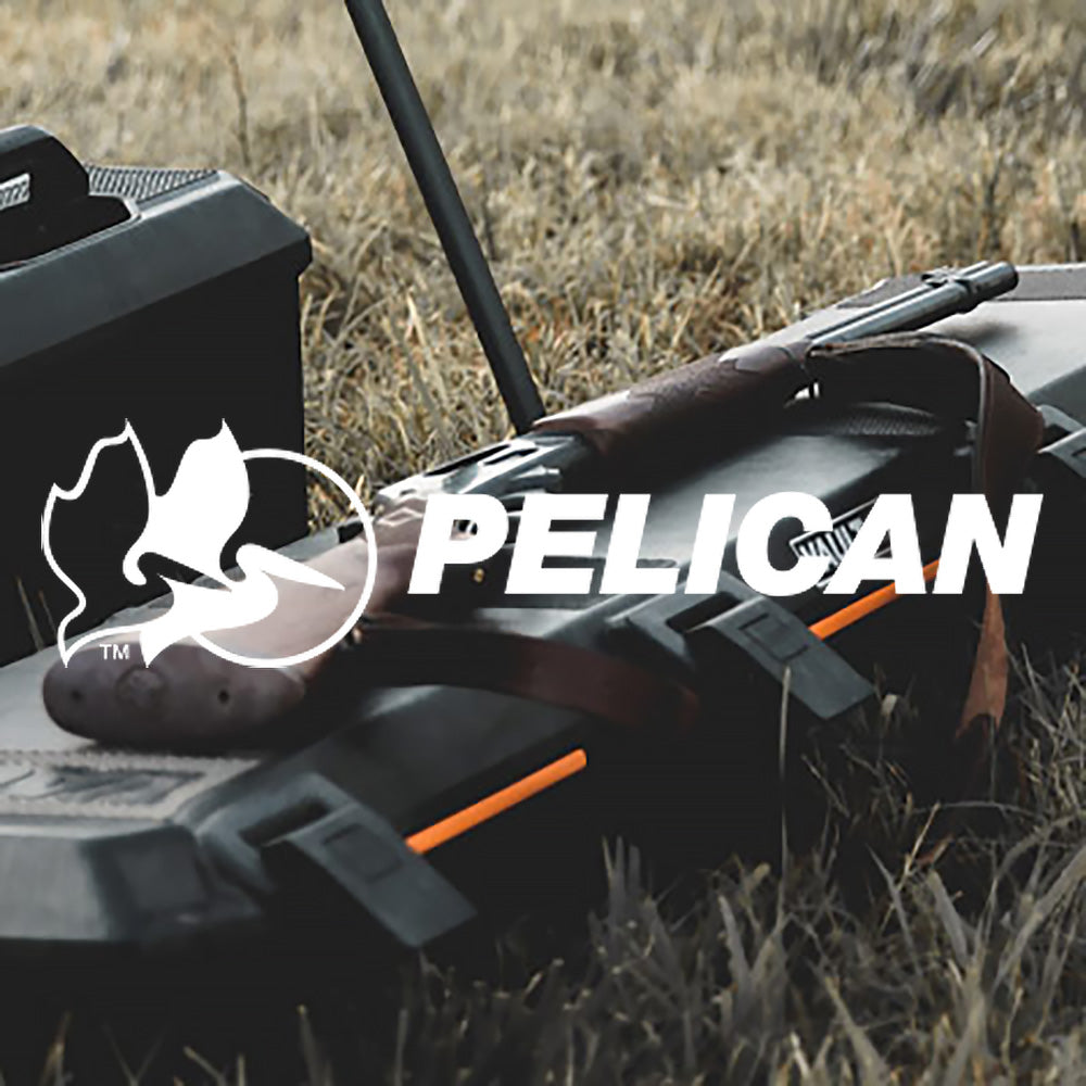 Pelican