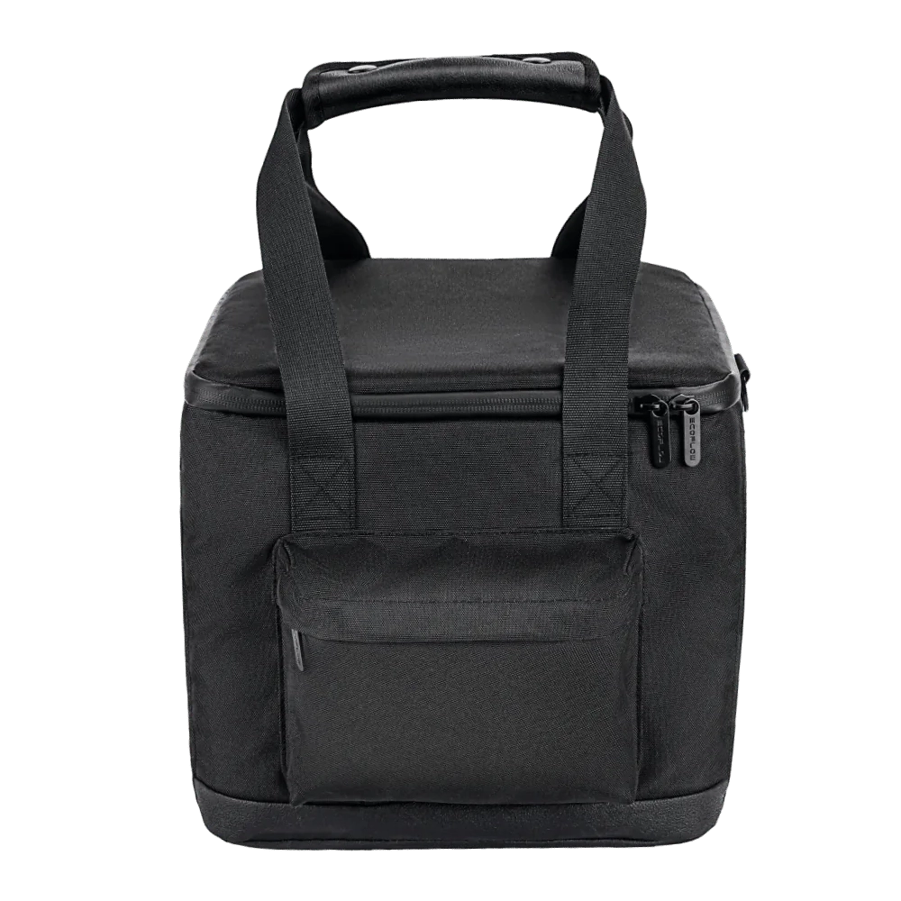 EcoFlow RIVER 2 Handbag