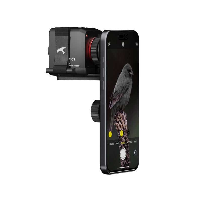 Kite Optics Stabi One monocular mounted on a smartphone, shown against a plain white background. The smartphone screen displays a close view of a bird perched on a pine cone.