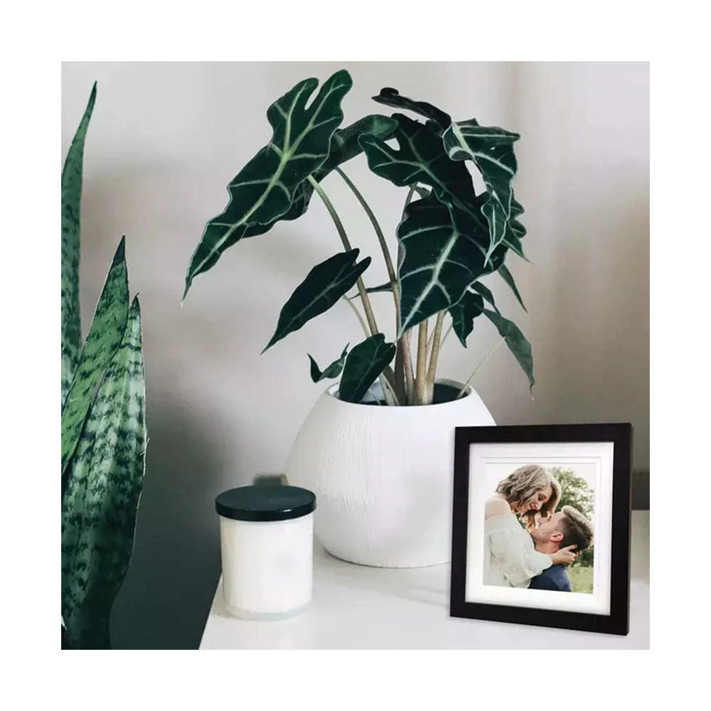 Profile Elegant Deluxe Timber Photo Frame Black