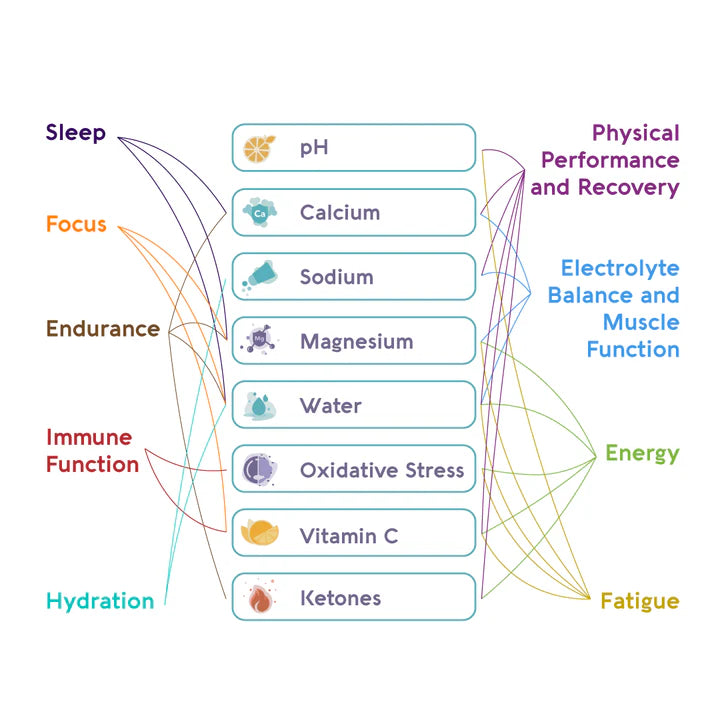 Vivoo Wellness Test
