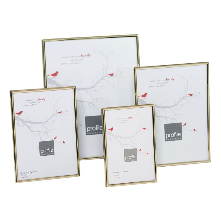 Profile Habitat Brass Metal Frame