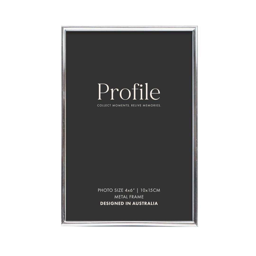 Profile Habitat Silver Metal Frame