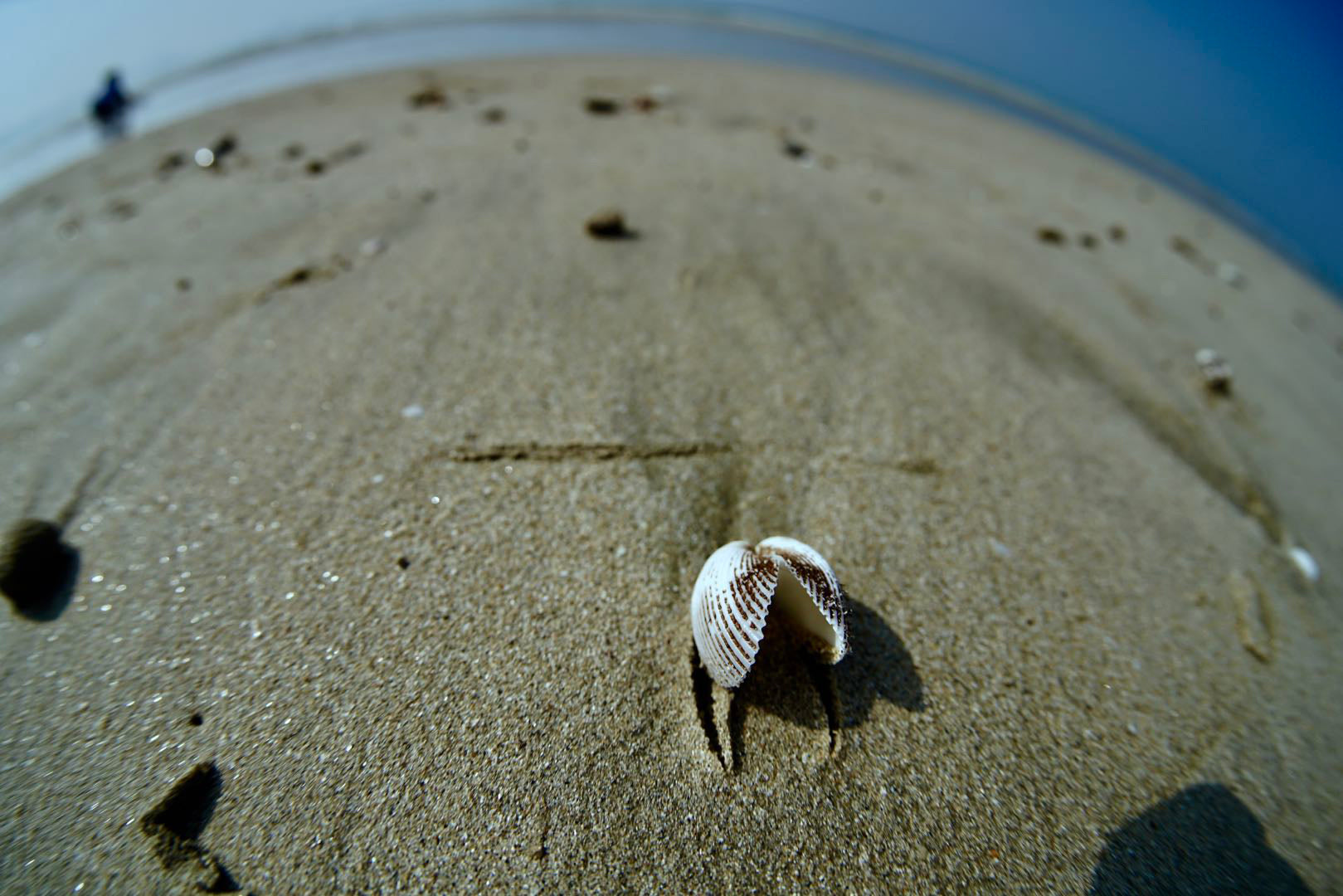 TTArtisan 11mm F2.8 Fisheye